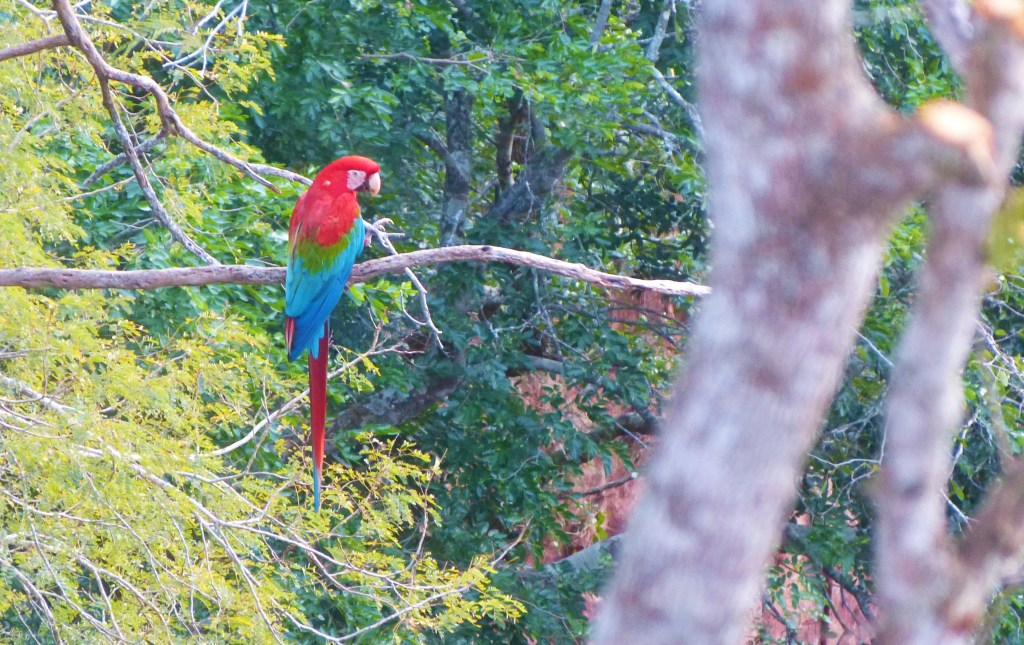 Bonito, MS: Buraco das&nbsp;Araras