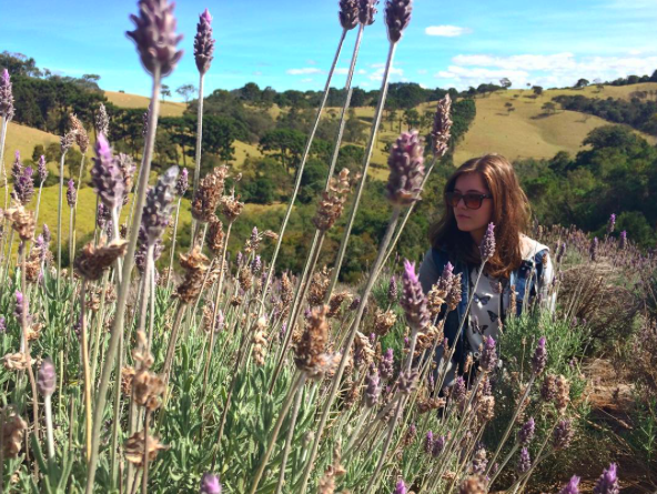 Captura de Tela 2017-07-26 às 01.22.53
