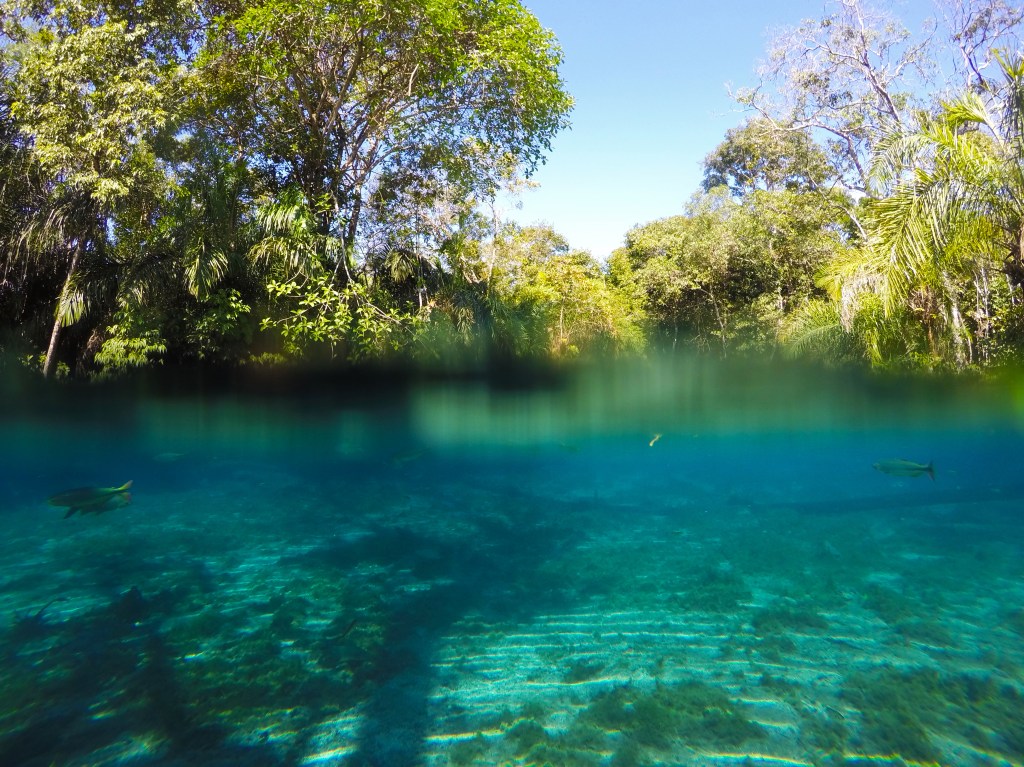 Bonito, MS: flutuação na Nascente&nbsp;Azul