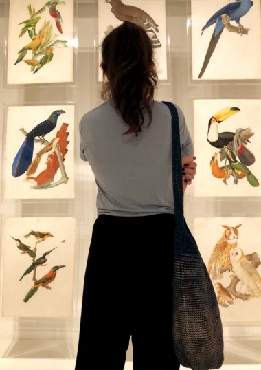 82DC1546-B0DA-43A9-B369-24BA4BF5BB52-9974-00000E72A148A9A7