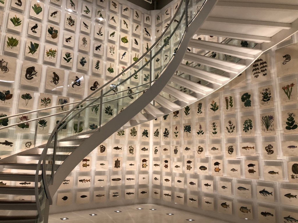 O Espaço Olavo Setúbal e as exposições permanentes do Itaú&nbsp;Cultural