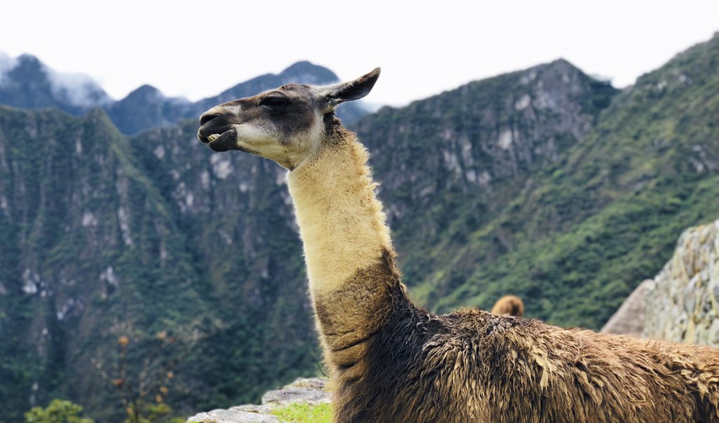 Desvendando Machu Picchu, a principal atração turística do&nbsp;Peru