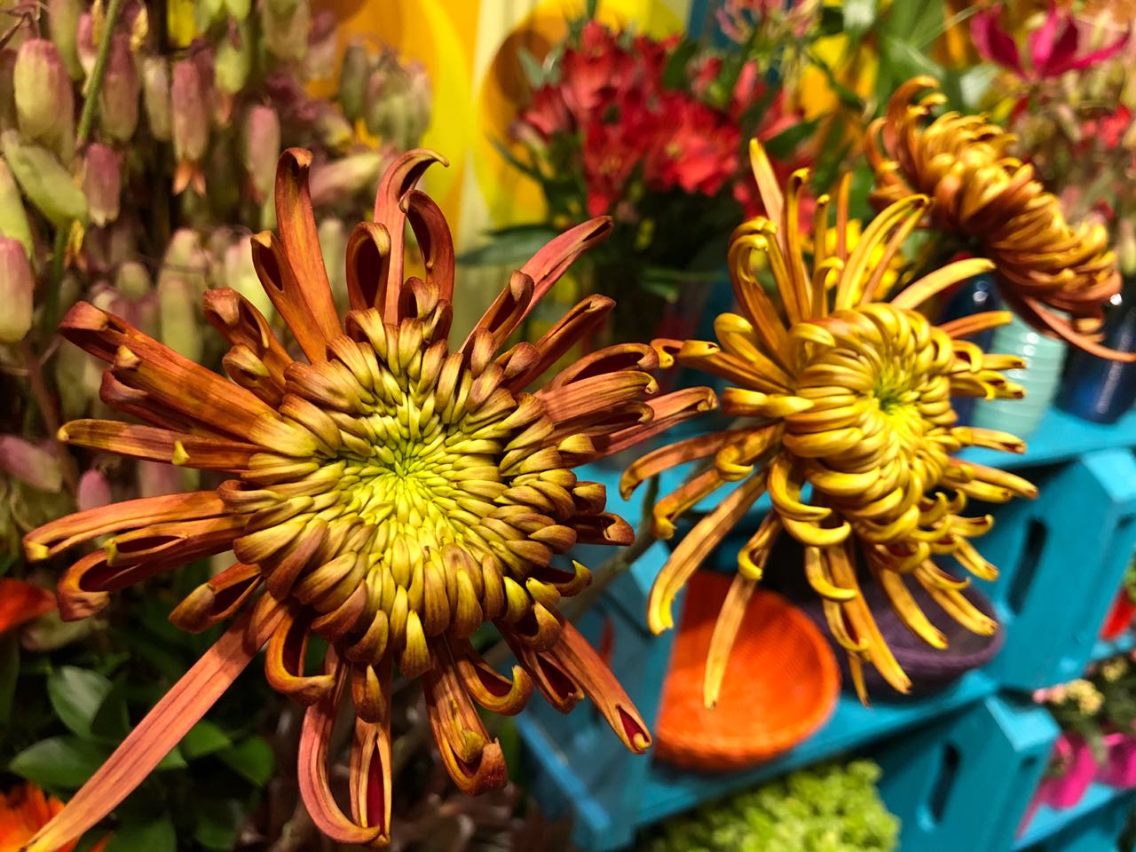 0ca0073e-3768-4ca1-b78b-12ff7a49b239