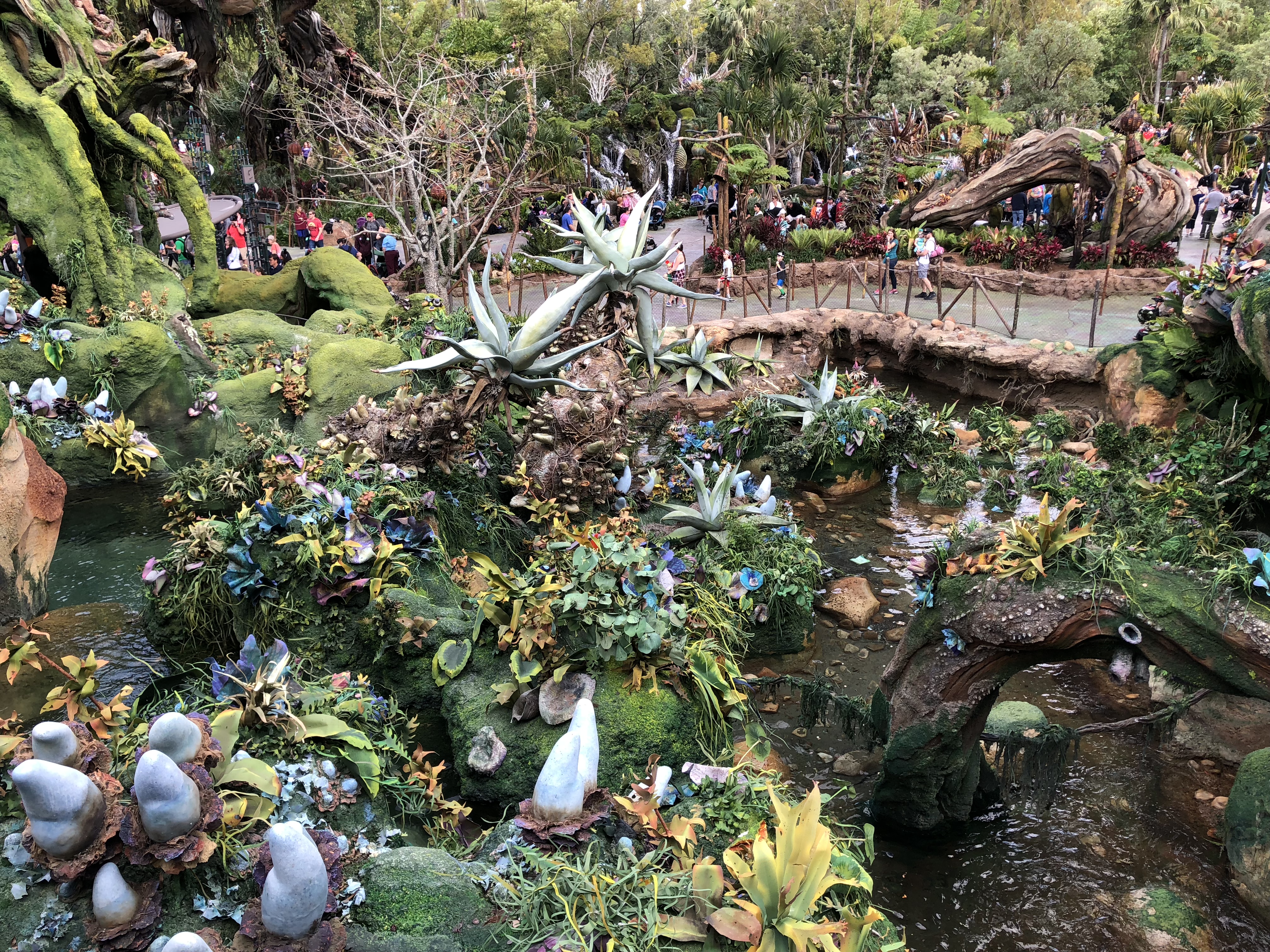 Img 33 Animal Kingdom