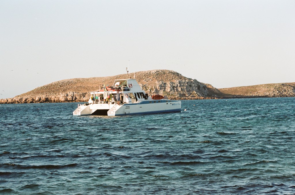Erros e acertos que cometi no meu primeiro liveaboard em Abrolhos, na&nbsp;Bahia