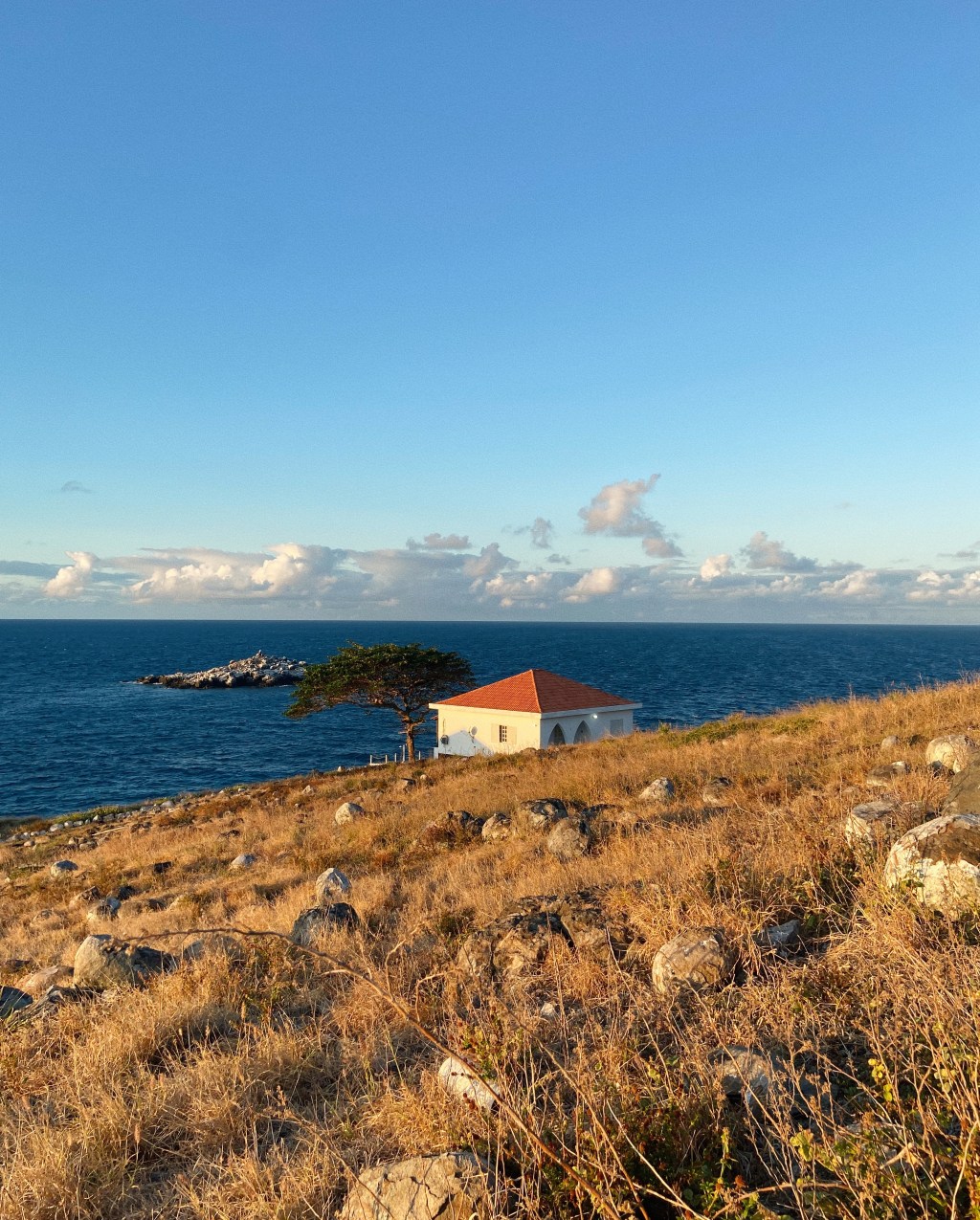 Notas sobre o meu primeiro liveaboard, em&nbsp;Abrolhos